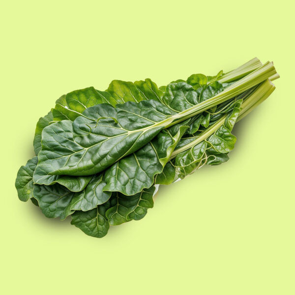 Acelga Penca Verde