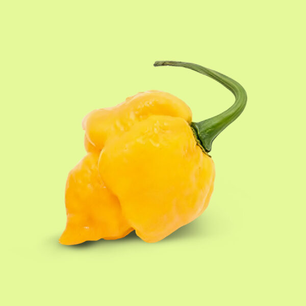 Ají Carolina Reaper Amarillo