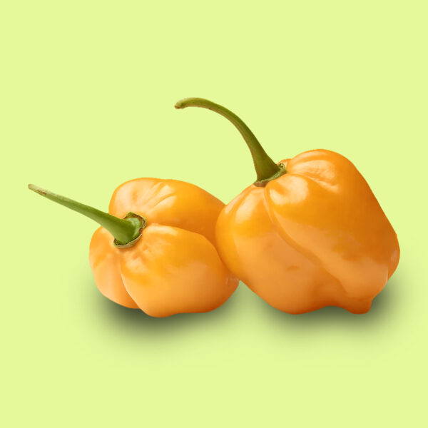 Ají Habanero Manzana