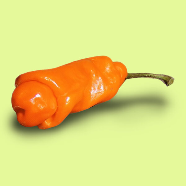 Ají Peter Peppers Orange