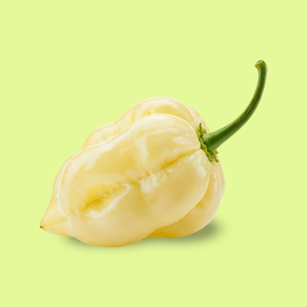 Ají Habanero Blanco