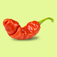 aji_peter_peppers