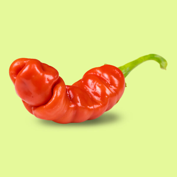 Ají Peter Peppers