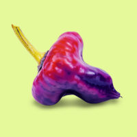 aji_ufo