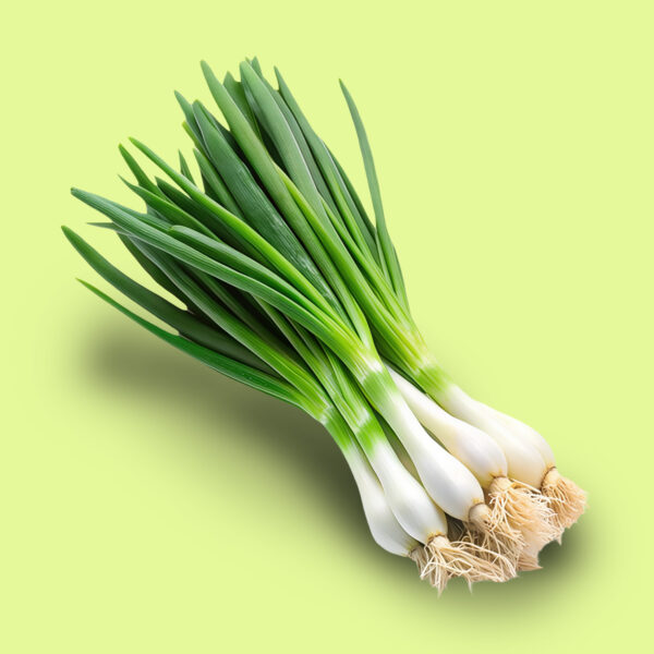 Cebolla de Verdeo