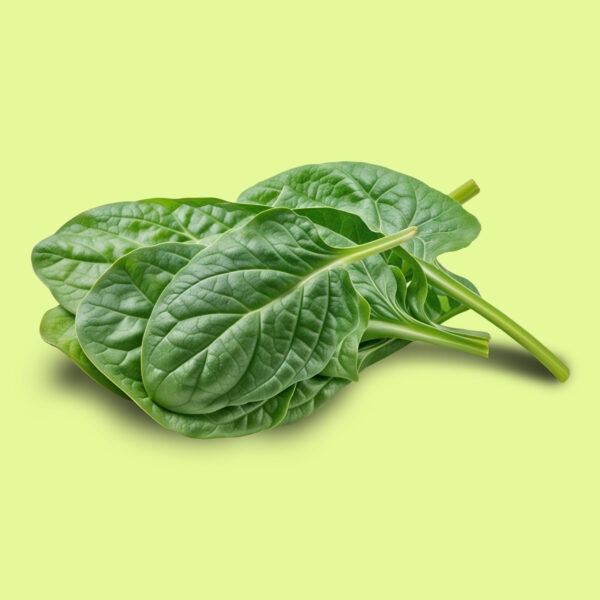 Espinaca Amadeo