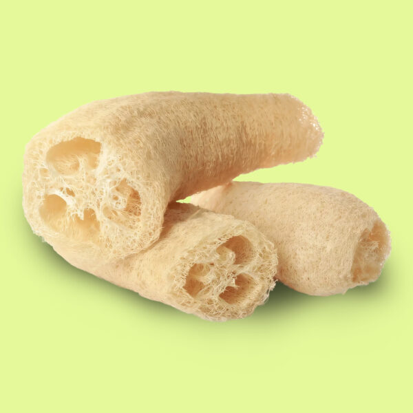 Esponja Vegetal (Luffa)