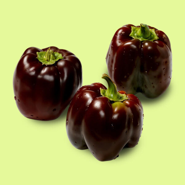 Pimiento / Morrón Chocolate