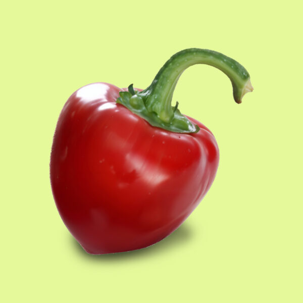 Pimiento / Morrón Calafyuco (calahorra)