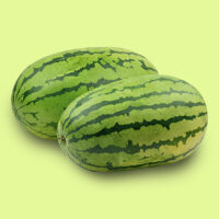 sandia-jubilee
