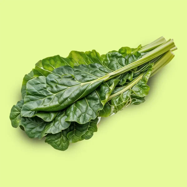 Acelga Penca Verde