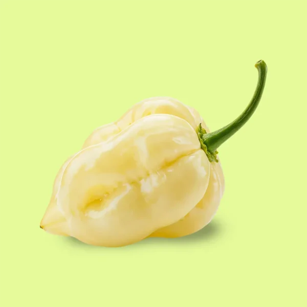 Ají Habanero Blanco