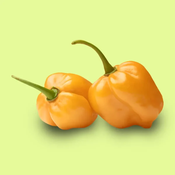 Ají Habanero Manzana