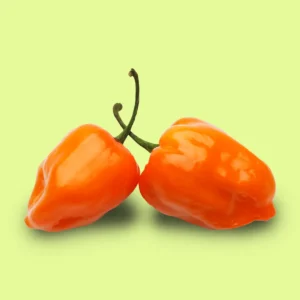 Ají Habanero Naranja