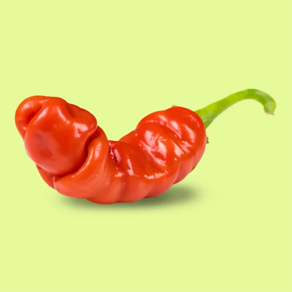 Ají Peter Peppers