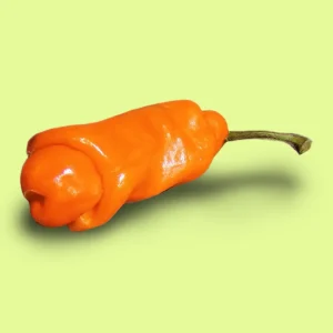 Ají Peter Peppers Orange