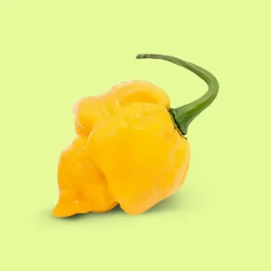 Ají Carolina Reaper Amarillo