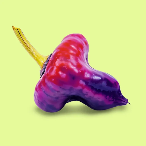Ají UFO