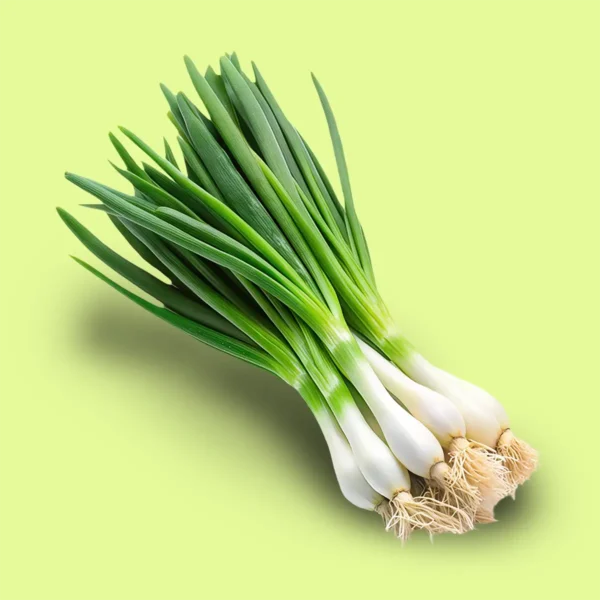 Cebolla de Verdeo