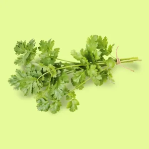 Cilantro / Coriandro