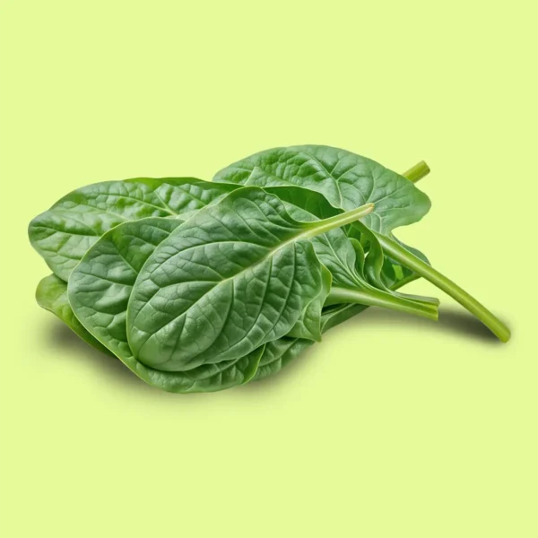Espinaca Amadeo
