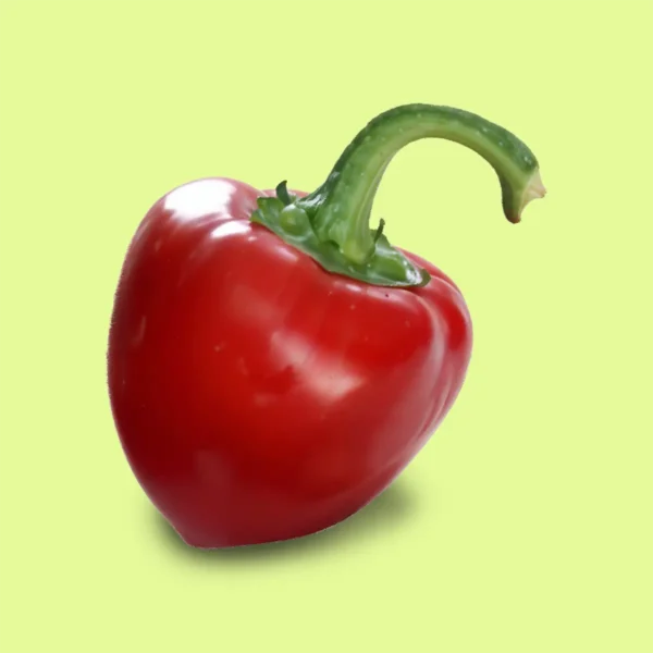 Pimiento / Morrón Calafyuco (calahorra)