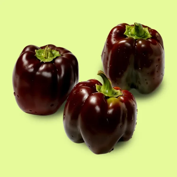 Pimiento / Morrón Chocolate