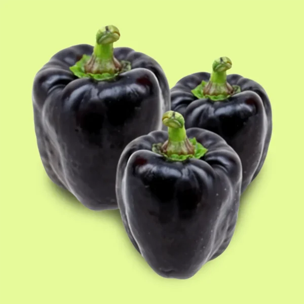 Pimiento / Morrón Negro