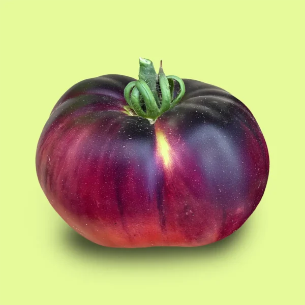 Tomate Amethyst Jewel