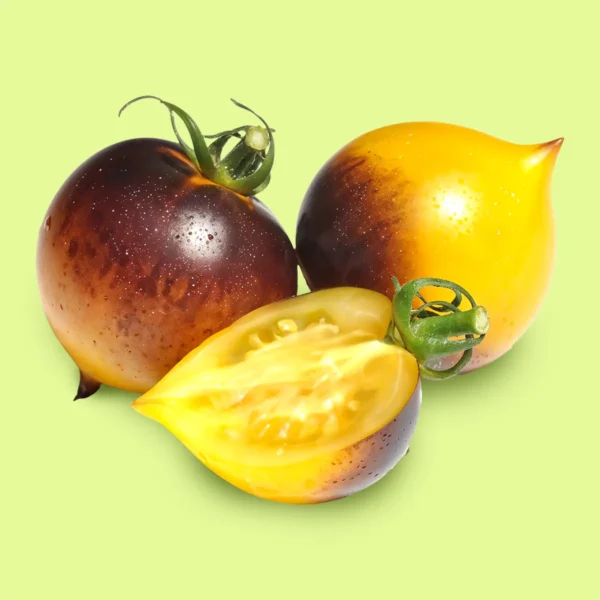 Tomate Belle Coeur