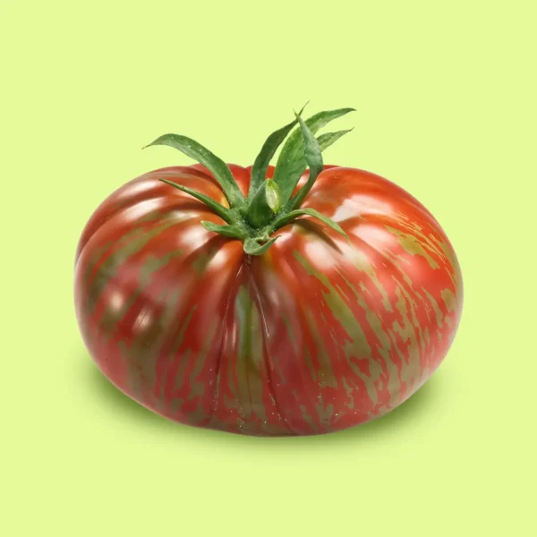 Tomate Berkeley Tie-Dye