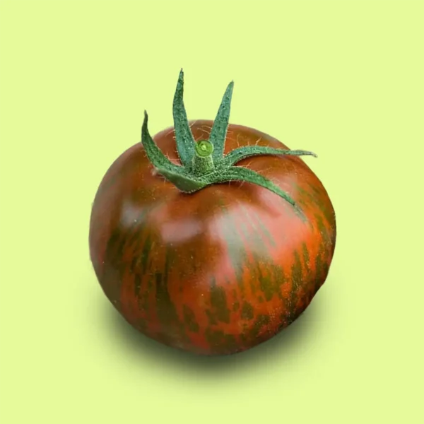 Tomate Black Zebra