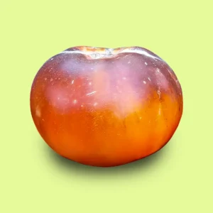 Tomate Blue Jollies