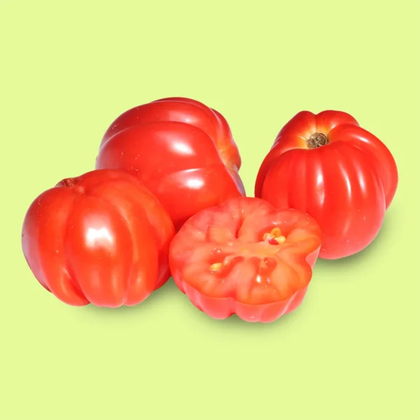Tomate Cherry Acordeón