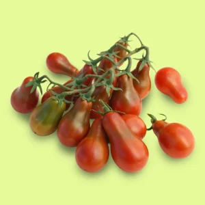 Tomate Cherry Chocolate Pear