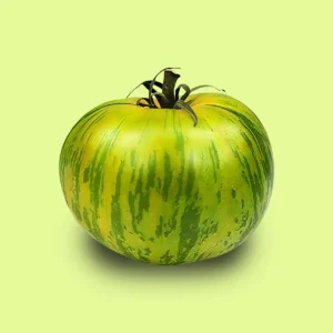 Tomate Green Zebra