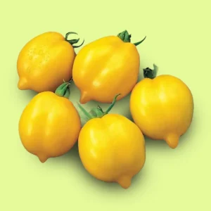 Tomate Limón