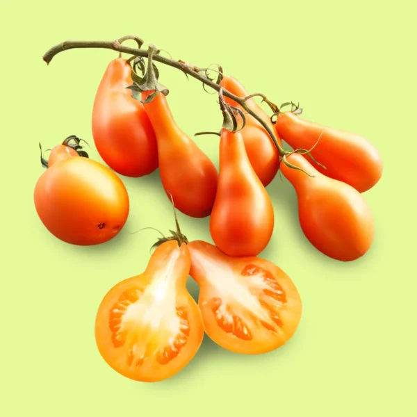 Tomate Mila