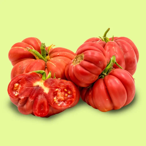 Tomate Mushroom Basket