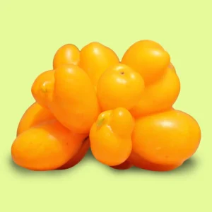 Tomate Phil's One
