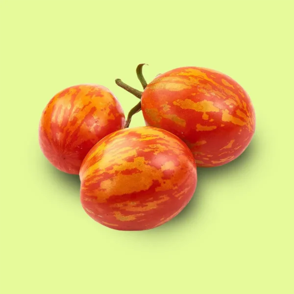 Tomate Zebra Rojo