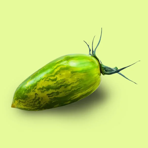 Tomate Zebra Verde