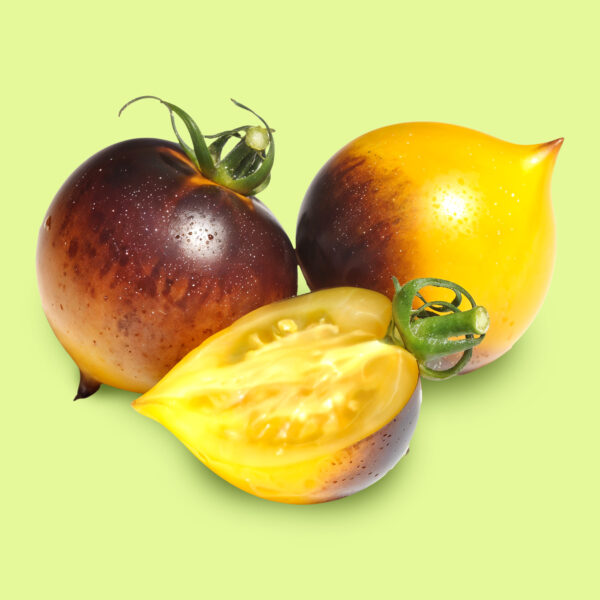 Tomate Belle Coeur