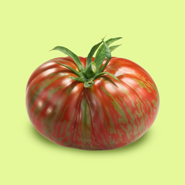 Tomate Berkeley Tie-Dye