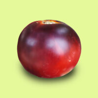 tomate-chef_hubert