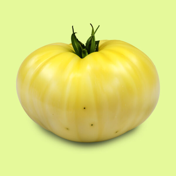 Tomate Cherokee Blanco