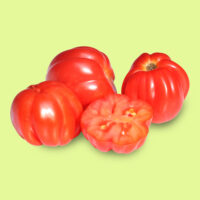 tomate-cherry_acordeon