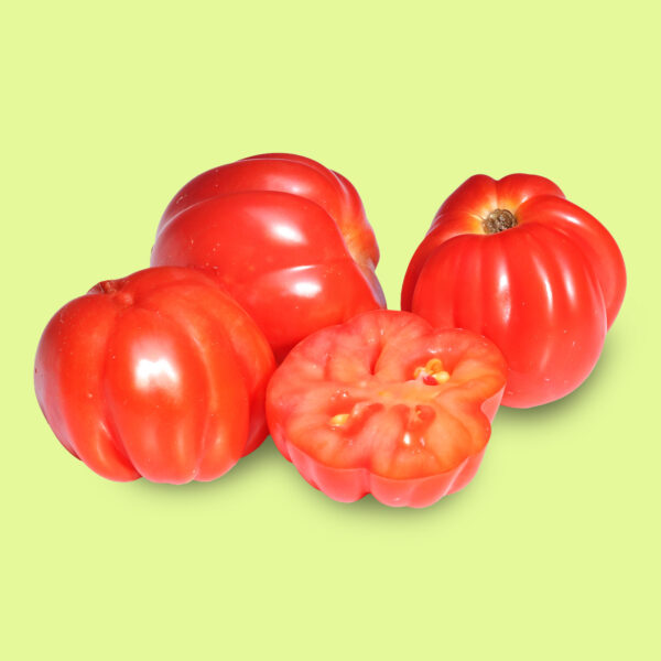 Tomate Cherry Acordeón