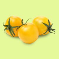 tomate-cherry_cereza_amarillo