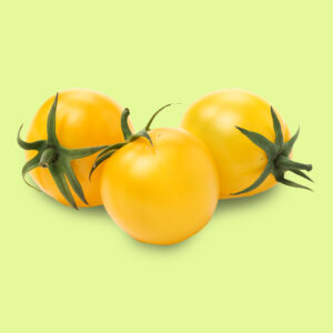 tomate-cherry_cereza_amarillo